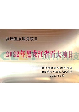 2022年黑龙江省百大项目